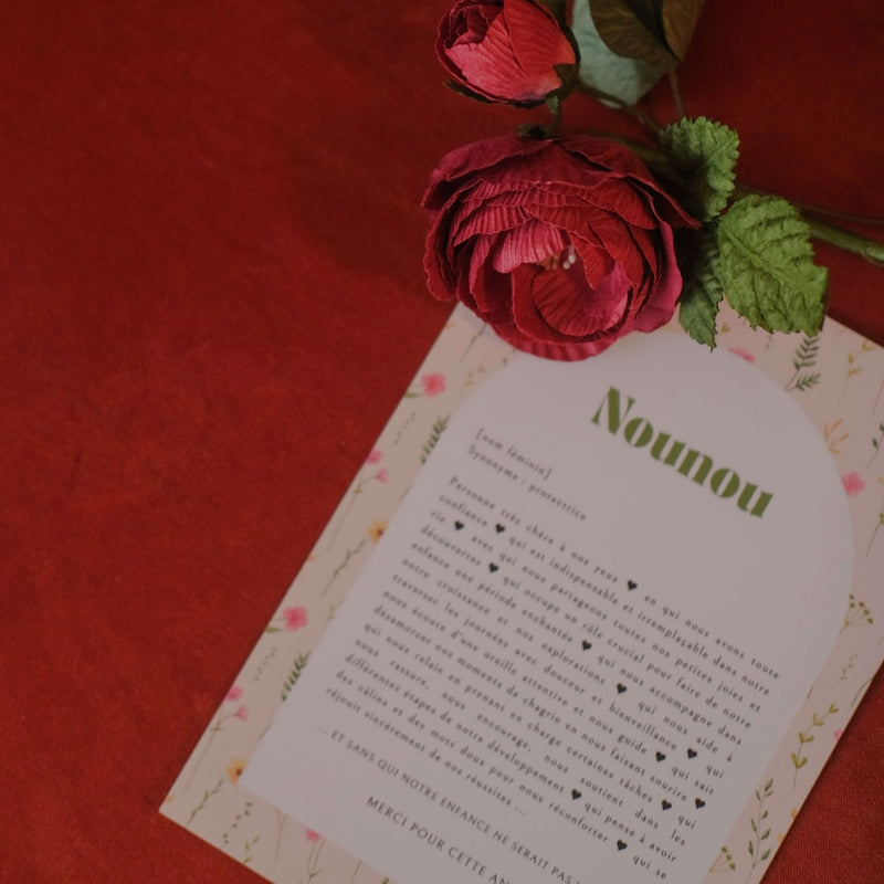 Coffret la Meilleure Nounou