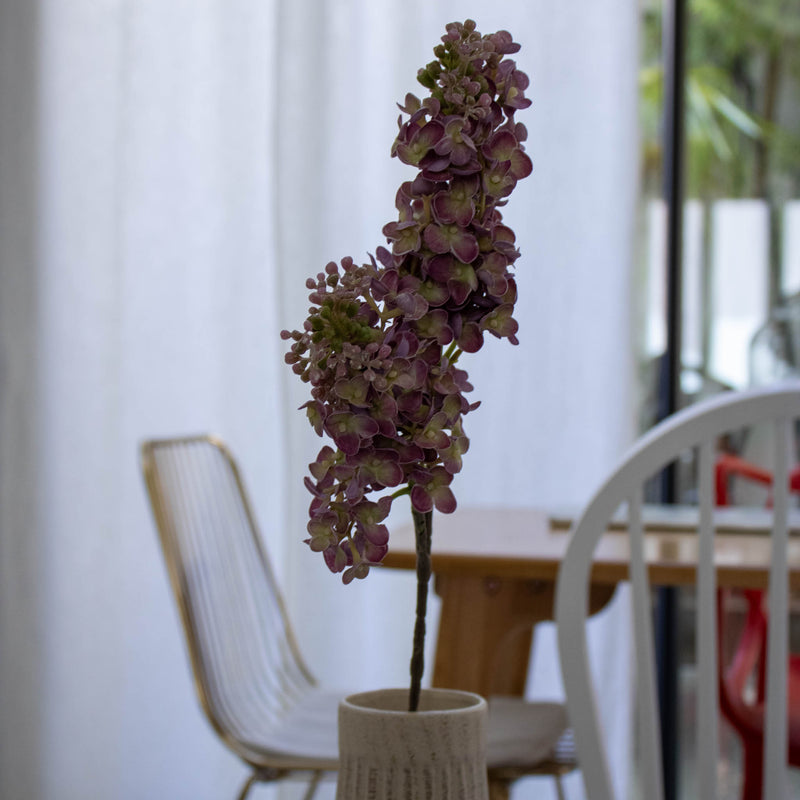 Branch Lilac viola