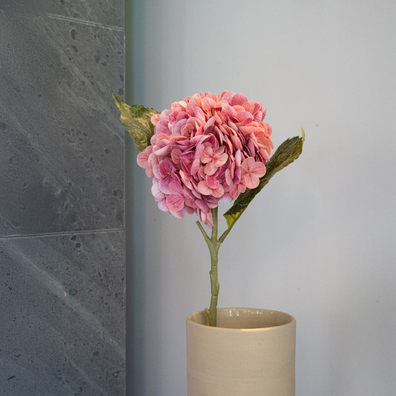 Item3167 Hydrancea rosa