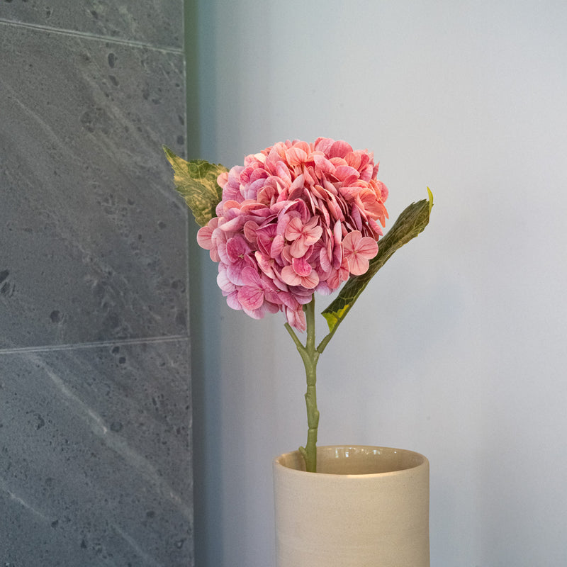 Item3167 Hydrancea rosa