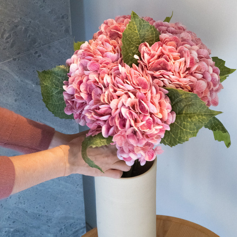 Item3167 Hydrancea rosa