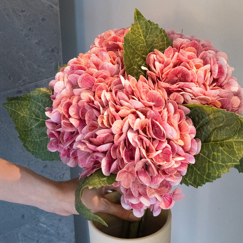 Item3167 Hydrancea rosa
