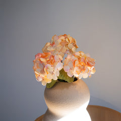 Little iensia in vecchia carta rosa