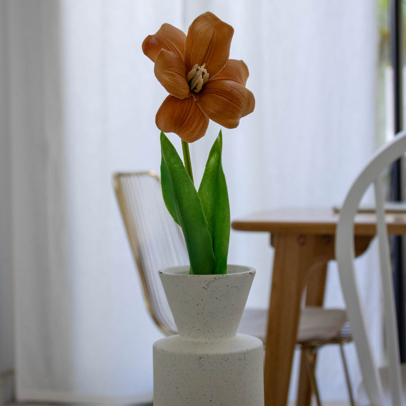 TULIP OPEN ORANCIO