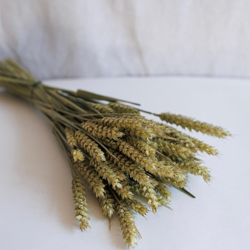 Stivale di grano verde