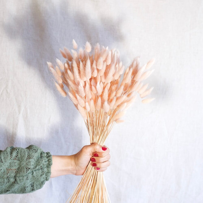 Stivale Lagurus Pink Pastel
