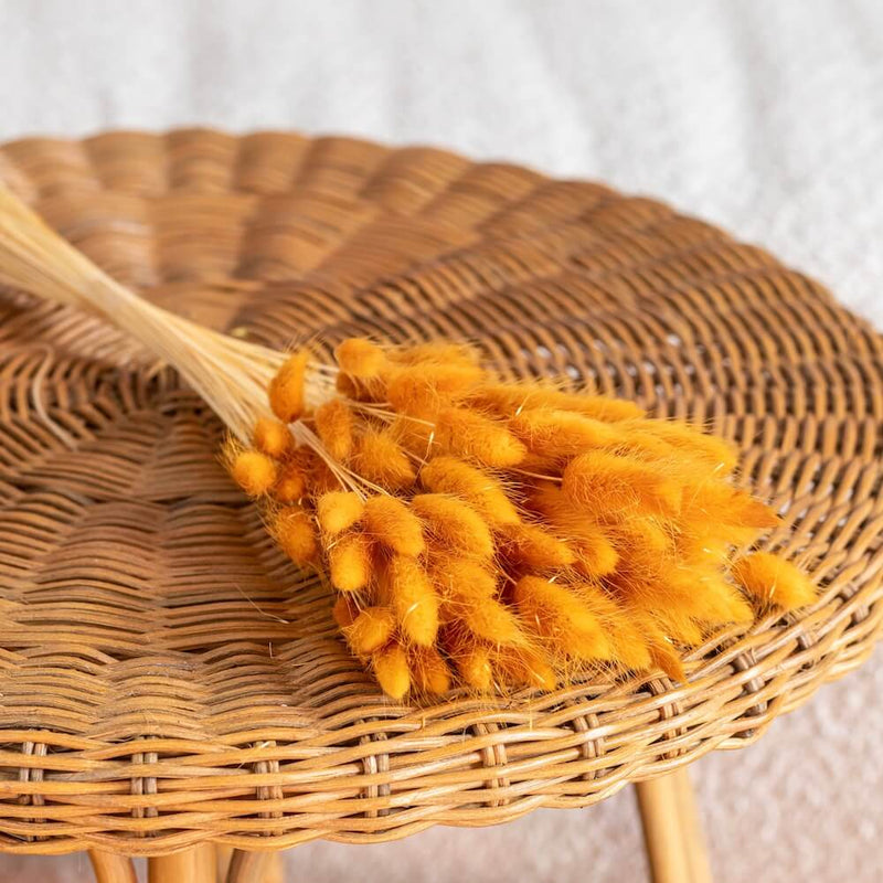 bottes-fleurs-sechees-flowrette-coloree-lagurus-terracotta