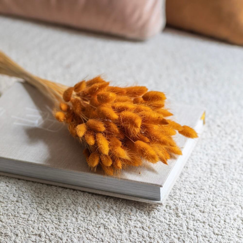 bottes-fleurs-sechees-flowrette-coloree-lagurus-terracotta