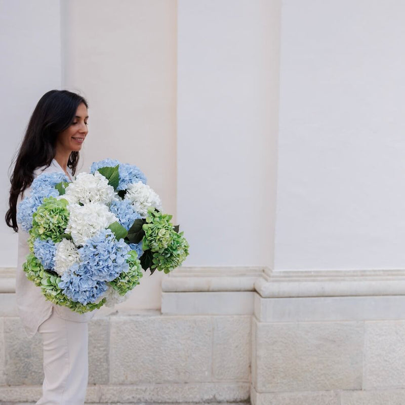 Ortensia azzurra