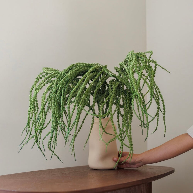 Green Amaranthe Fox Tail