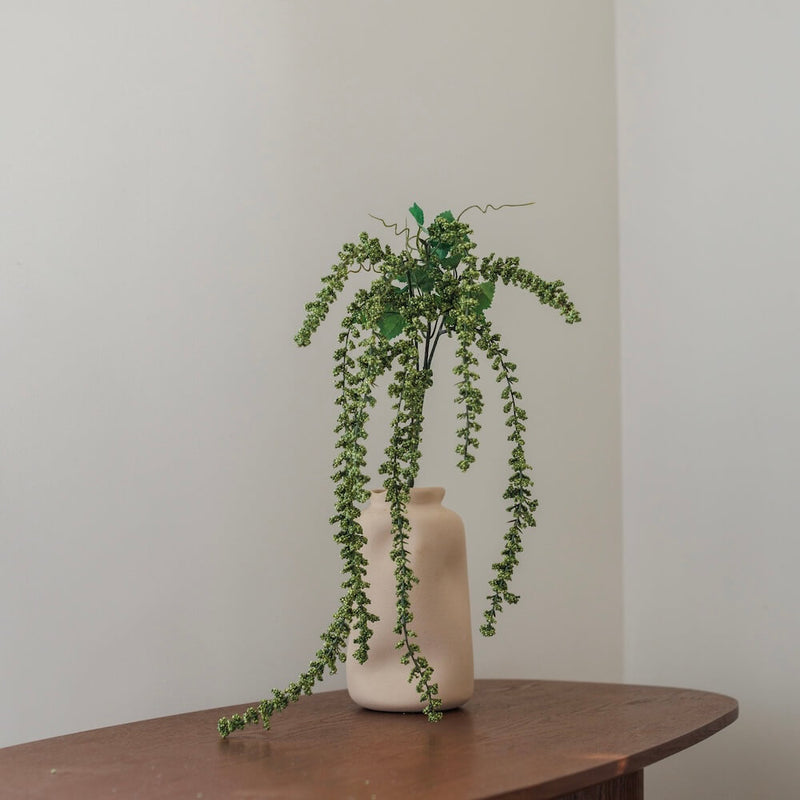 Amaranto verde