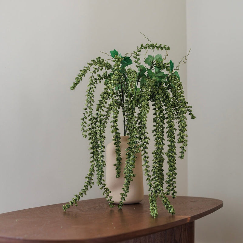 Amaranto verde