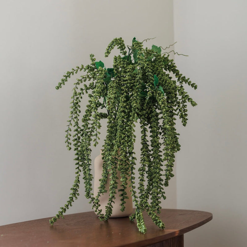 Amaranto verde