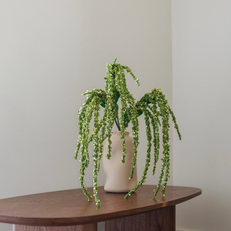Amaranth Green Alling