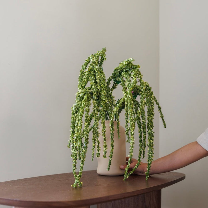 Amaranth Green Alling