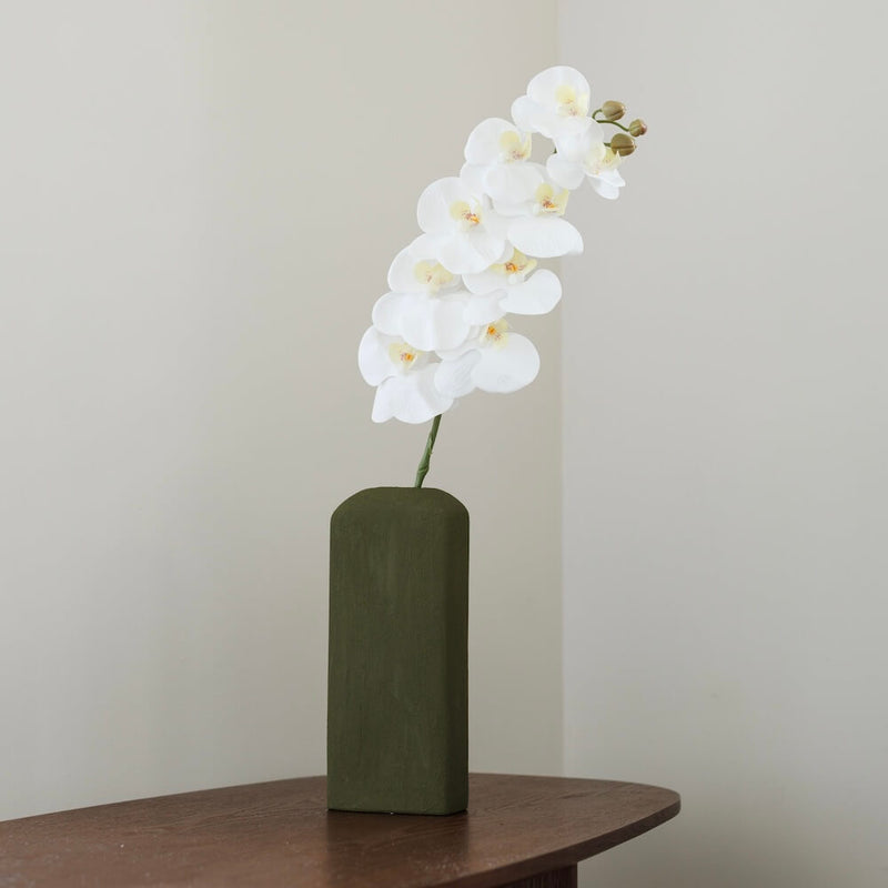 Orchidea bianca