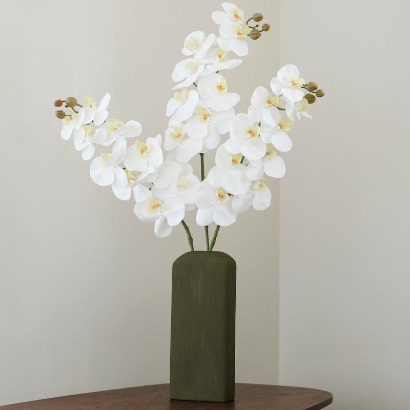 Orchidea bianca