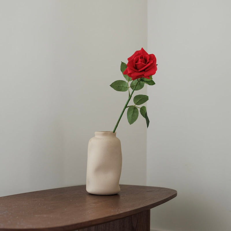 Rosa rossa