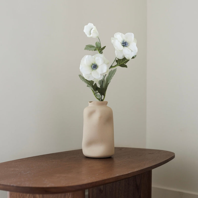 Anemone bianco
