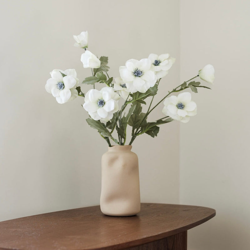 Anemone bianco