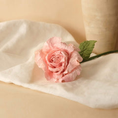 Grande signora rosa in carta rosa pallida