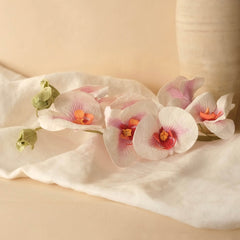 Orchidea di farfalla di carta rosa e bianca