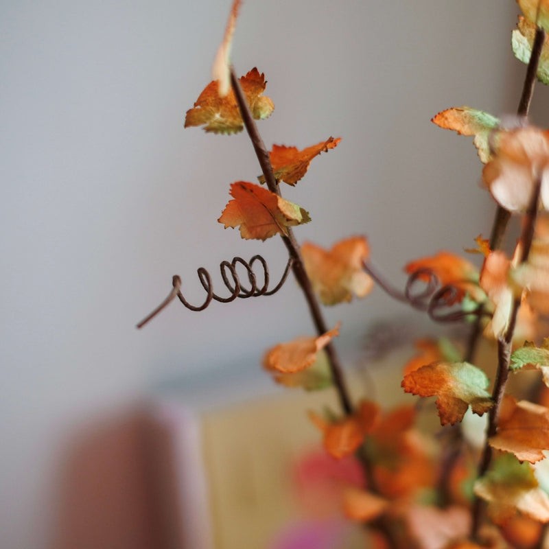 erable-en-papier