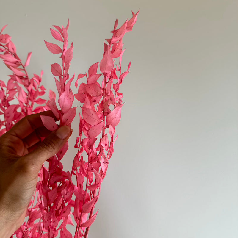 Botte fleurs stabilisées Ruscus Vieux rose