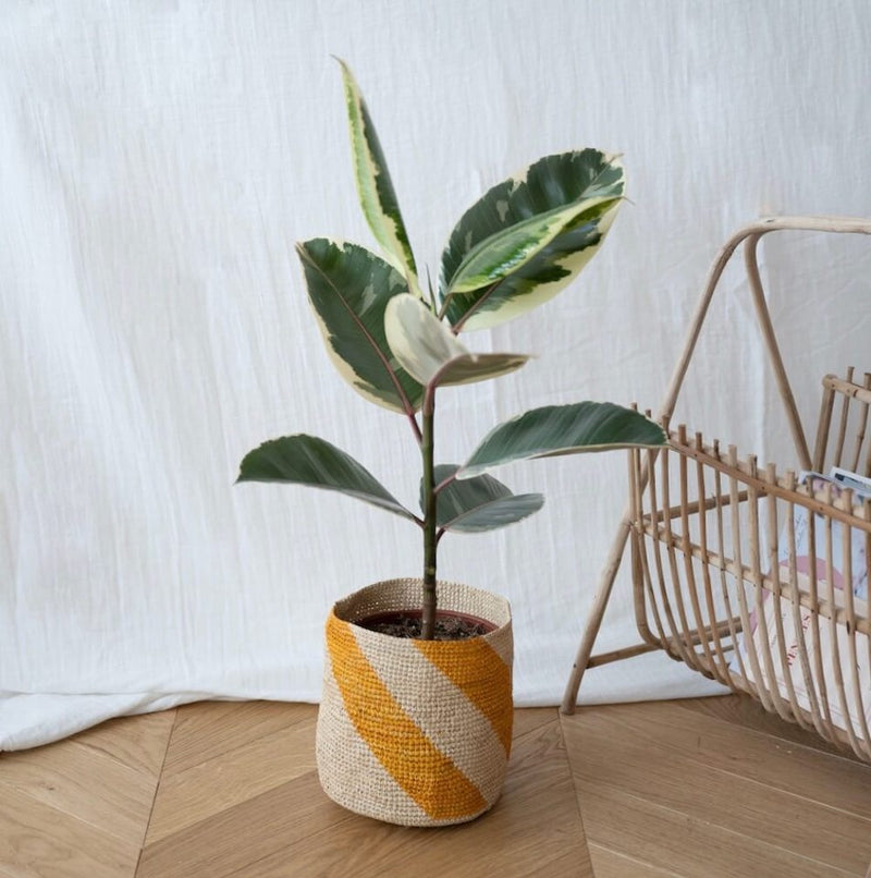 cache-pot-raphia-jaune-17cm