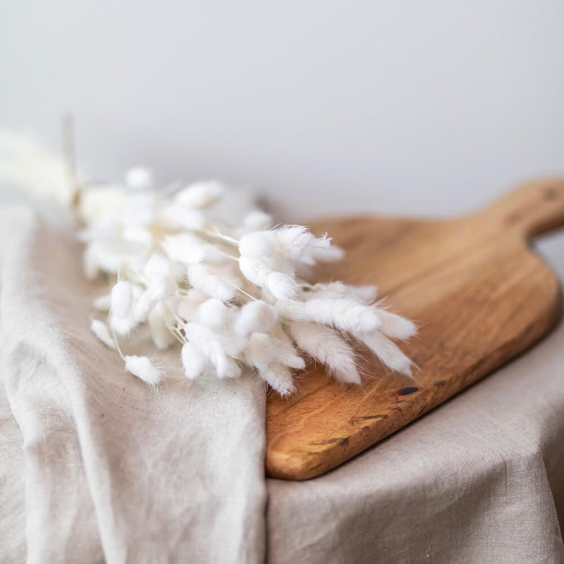 botte-fleurs-sechees-lagurus-blanc-flowrette