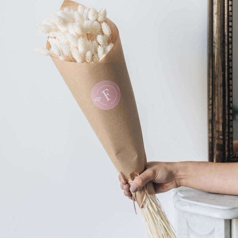 Botte fleurs séchées Phalaris blanc