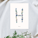 petite-affiche-herbier-lettre-flowrette-bleue