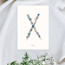 petite-affiche-herbier-lettre-flowrette-bleue