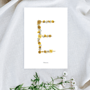 petite-affiche-jaune-herbier-lettre-alphabet