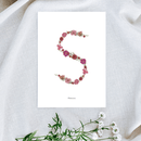 Affiche A5 herbier lettre rose