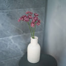 Astrance di carta viola