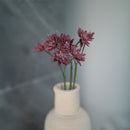 Astrance di carta viola