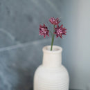 Astrance di carta viola