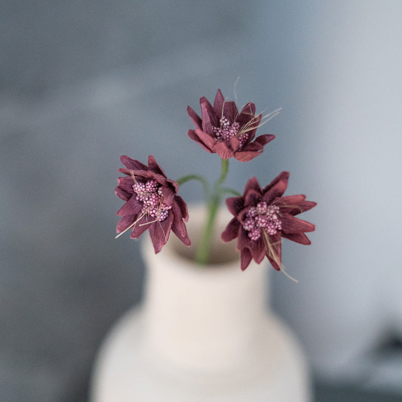 Astrance di carta viola