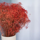 Boom Bloom Rouille Boot