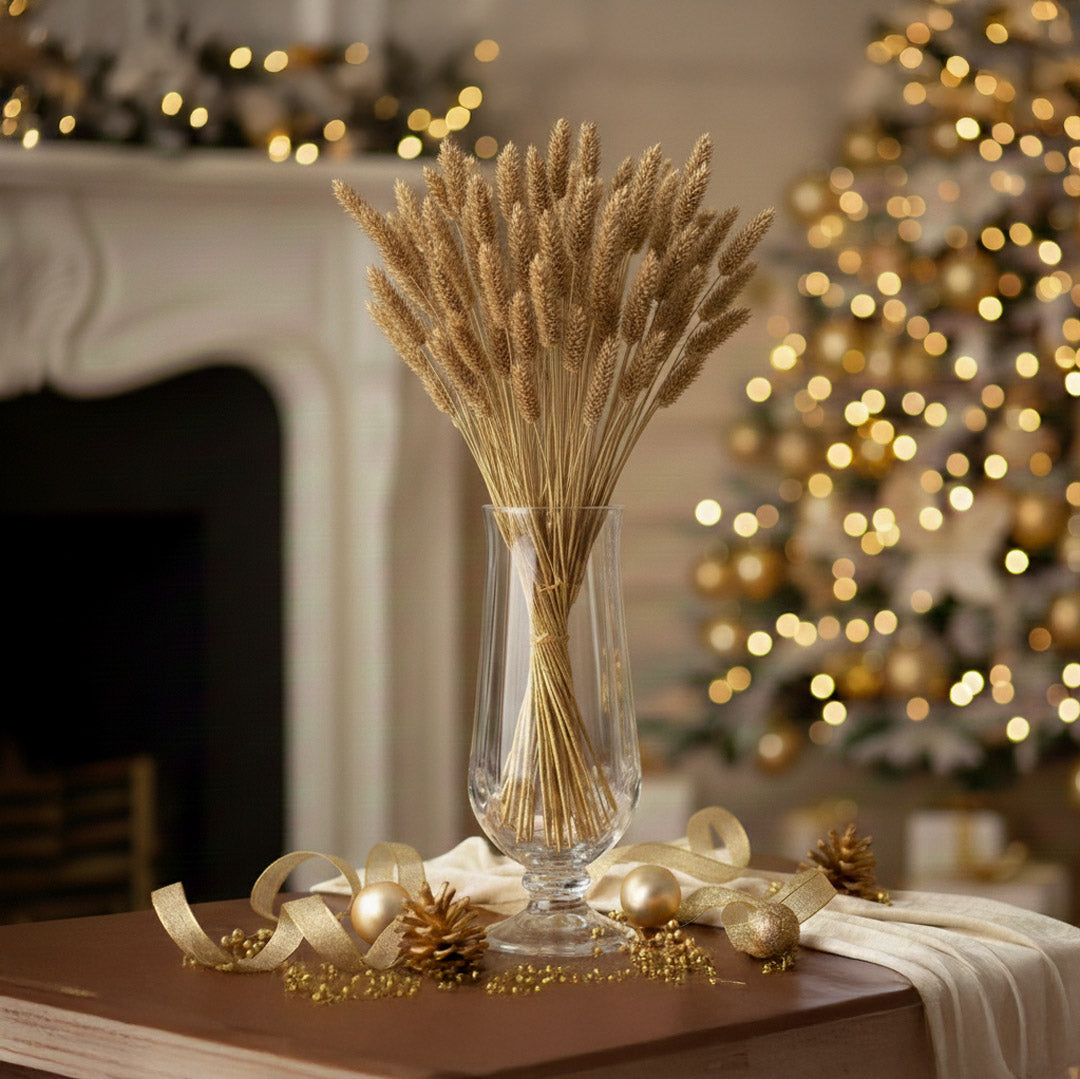 Stivale Phalaris Oro