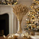 Stivale Phalaris Oro