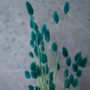 Stivale phalaris verde smeraldo