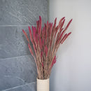 Stivale rosa Sétaire