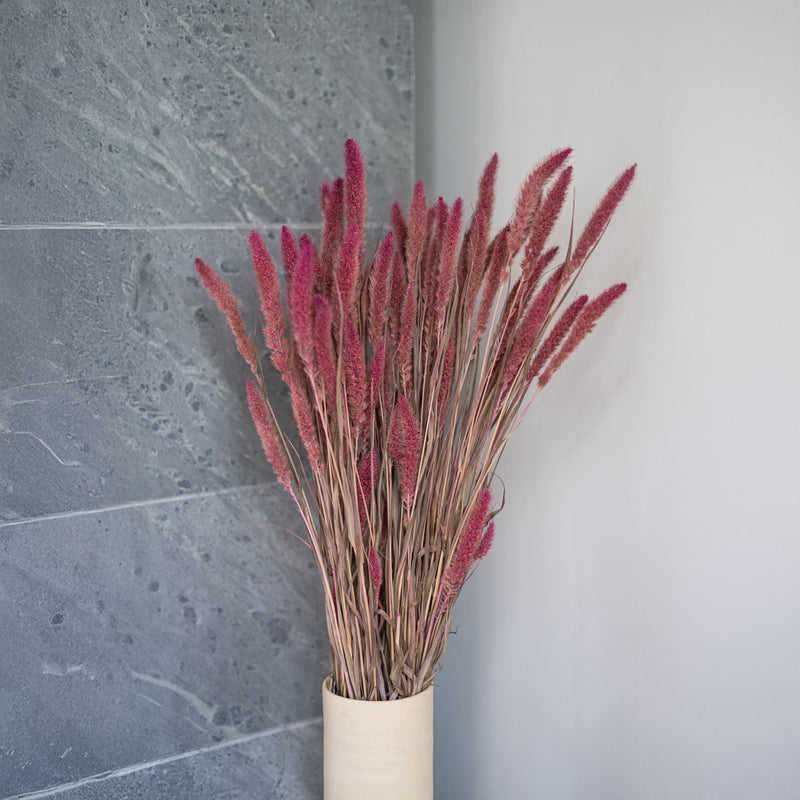 Stivale rosa Sétaire