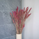 Stivale rosa Sétaire