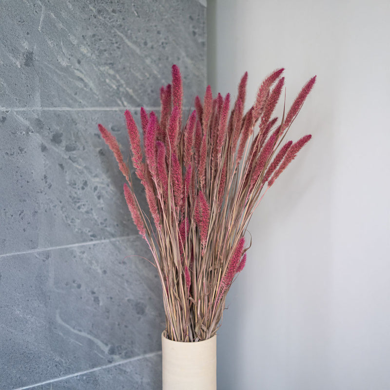 Stivale rosa Sétaire