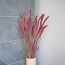 Stivale rosa Sétaire