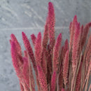 Stivale rosa Sétaire