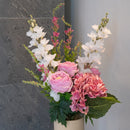 articolo??? Grappolo